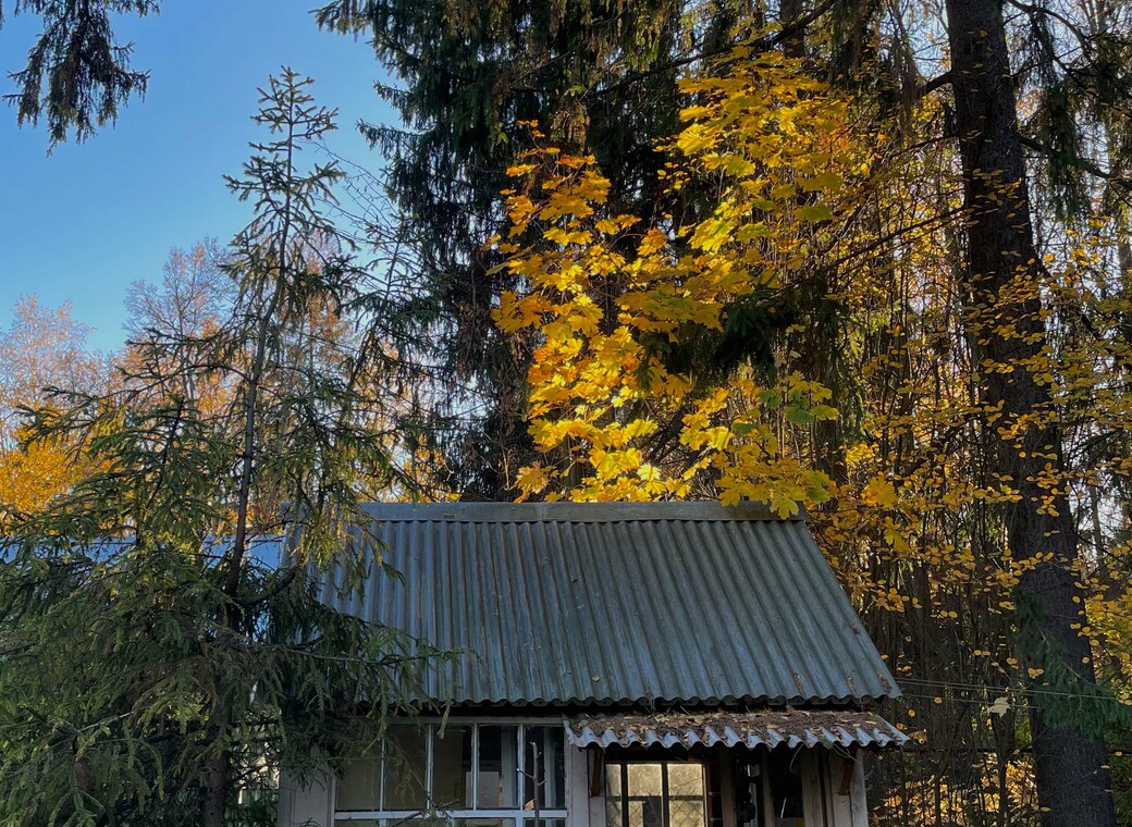 Дом в стиле барнхаус + старинный дом